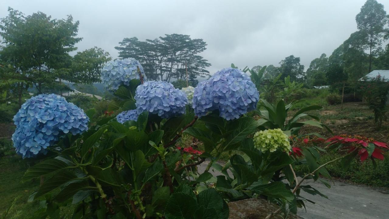Karleta Homestay Ruteng Εξωτερικό φωτογραφία