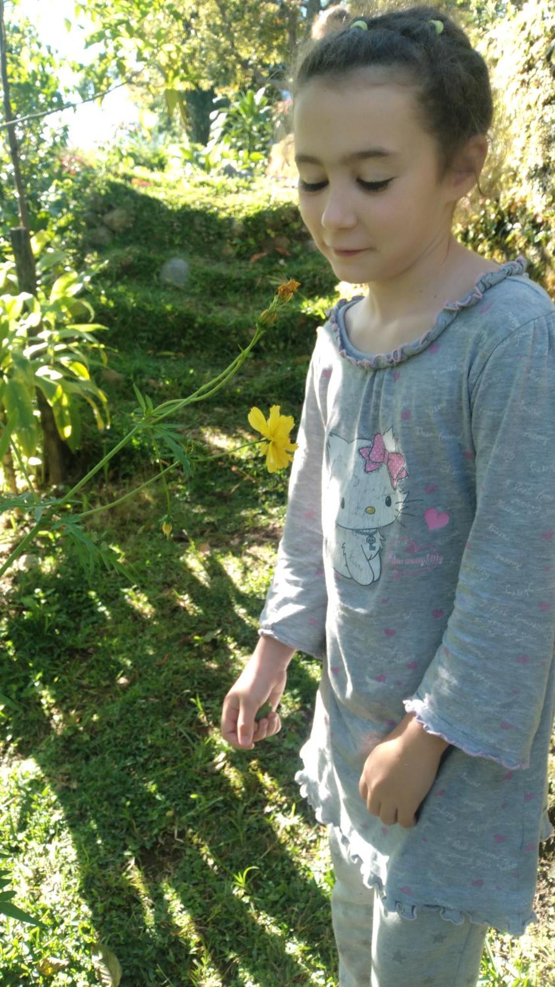 Karleta Homestay Ruteng Εξωτερικό φωτογραφία